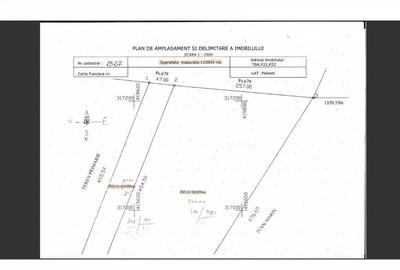 Teren investiție, de 110,000 mp, în Pielești - 4