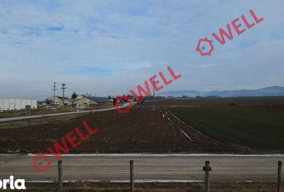 Teren de 4100 mp, în Tușnad - 6