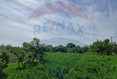 Casă cu 4 camere cu Teren 1440 Mp în Mișca - 3