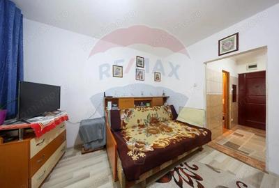 Apartament cu 1 camera, de vanzare, in Noua! - 4