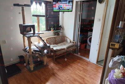 Casa P+1 400 mp teren Godeanu Carrefour Colosseum Casa P+1 400 mp teren Godeanu Carrefour Colosseum - 9