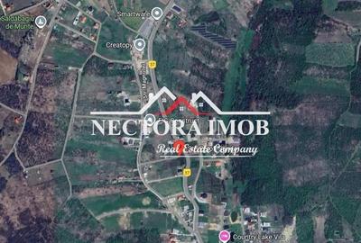 Teren de 1223 mp, în Săldăbagiu de Munte