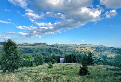 Teren de 1000 mp, în Muntele Băișorii - 6