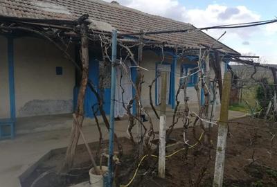 Casă cu 3 camere în Balabancea - 8