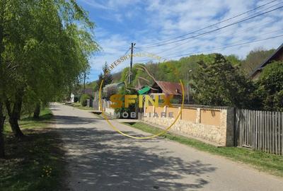 Teren Construcții intravilan de 1000 mp, în Dobrești - 1