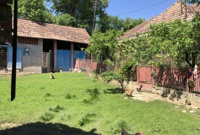 Casă individuală cu 2 camere cu Teren 1350 Mp în Râciu - 4