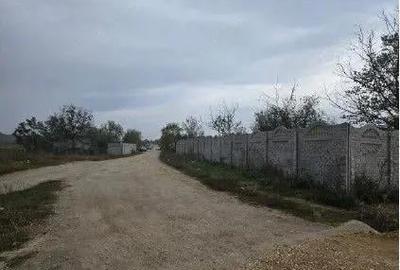 Casă cu Teren 1813 Mp în Orbeasca - 4