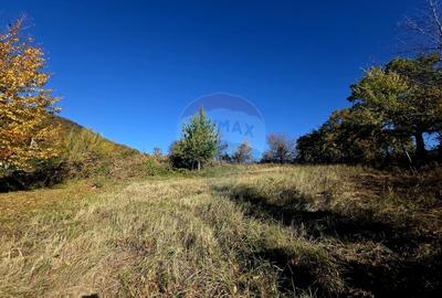 Casă individuală cu 5 camere cu Teren 2700 Mp în Alexandru cel Bun - 18