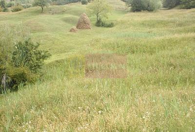 Teren extravilan de vanzare in Telega - 2