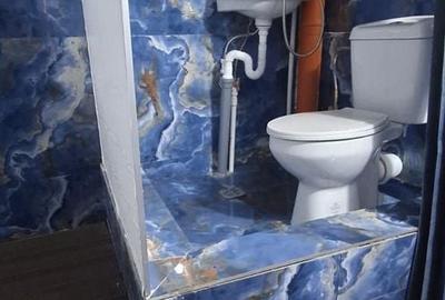 Casă individuală cu 7 camere cu Canalizare în P-ța Operei - 18