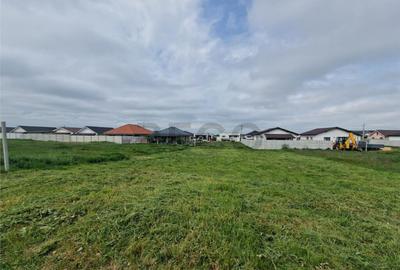 RECO teren intravilan Santandrei - 3