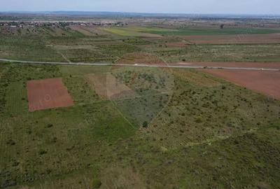 Teren de 33000 mp, în Bolotești - 3