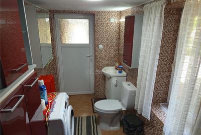 Anina, Sigismund, Casa 4 Incaperi, 1439mp Teren, ZERO Comisi - 11