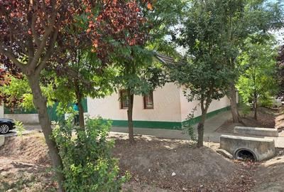 Casa de vanzare? Tomnatic Jud Timi?. - 7