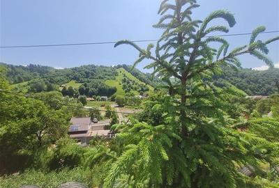 View superb:intravilan,constructie rezidenta/hotel, 2.327 mp,Moieciu de Jos, Bra - 28