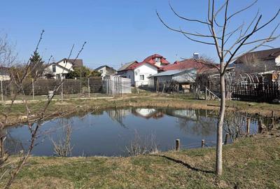 Casă cu 4 camere cu Teren 2579 Mp în Colanu - 6