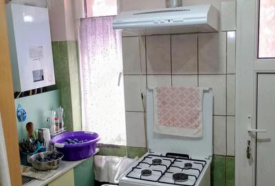 Casă cu 2 camere în Timocului-Șaguna - 10