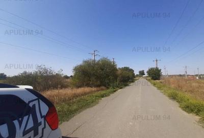 Teren pentru case in 1 Decembrie - 4