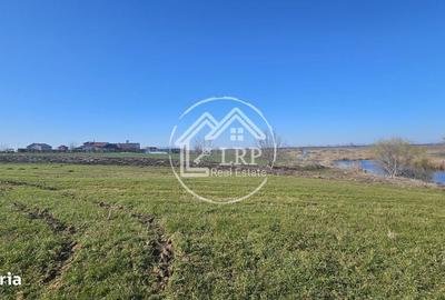 Spațiu comercial, în Creața - 2