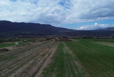 Teren de 6581 mp, în Jiblea Nouă - 3