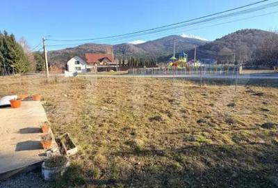Teren în Sâmbăta de Sus - 1