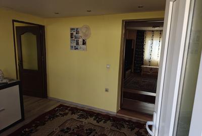 Casă cu 3 camere cu Teren 3500 Mp în Satu Mare - 7