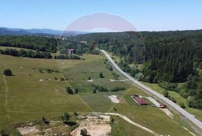 Teren de 5561 mp, în Paltin - 11