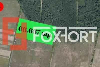 COMISION 0% Teren extravilan Mosnita in zona de Padurea Bistra - 66.667 mp