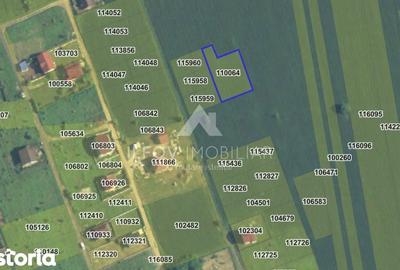 Teren de 1250 mp, în Snagov - 2