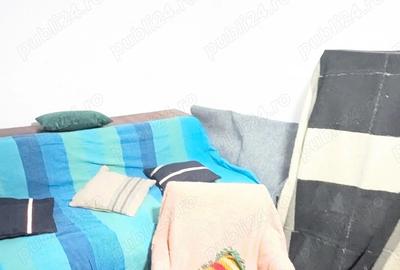 Primesc in gazda o persoana cu venit stabil - 10