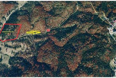 Teren intravilan Poiana Brasov  Poiana Cristianului - 2