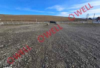 Spațiu comercial, în Barcani - 6