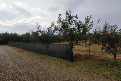 Teren Construcții intravilan de 940 mp, în Hemeiuș - 4