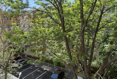 Apartament cu 3 camere decomandat, mobilat în Rahova - 18