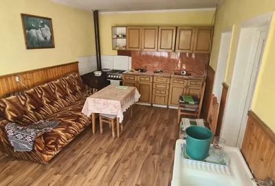 Vand casa in localitatea Craiva - 8