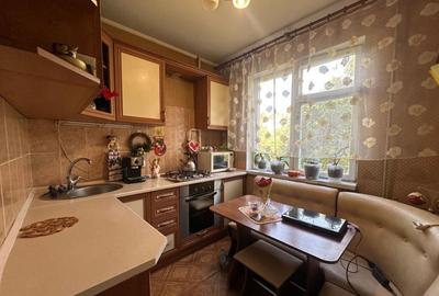 Apartament 2 camere in zona Banu Manta - 2