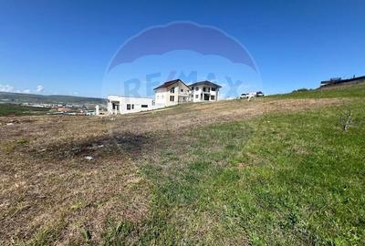 Teren Dezmir, 540 mp, zona de case, construire casa individuala - 1