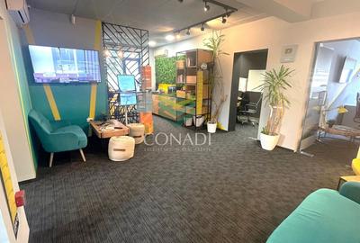 Birou, de 150 mp, în Herăstrău - 2