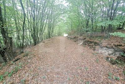 Casa de vanzare – Colonia 1 Mai 75.000 EURO - 10