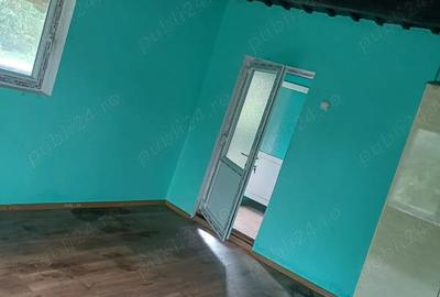 Vand casa cu gradina - 2