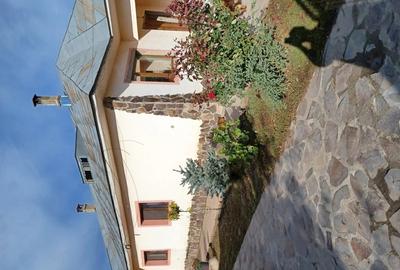 Vand casa Draganesti Jud Gala?i , 160m, teren 1750m cu livada de pruni ?i alte specii . - 19