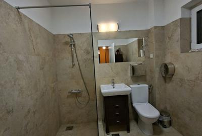 Inchiriere Spatiu Birou Zona Centrala/Cluj-Napoca - 5