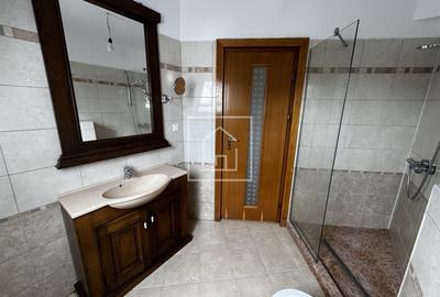 Inchiriere casa spatioasa Sub Arini - ideala firma sau locuinta - 20