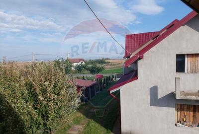 Proprietate deosebita cu potential turistic, Sarata Bacau - 21