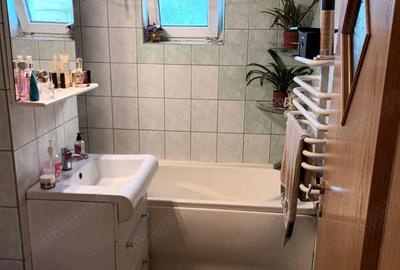 Apartament cu 3 camere parter inalt Zona Lidia-Drubeta. - 7