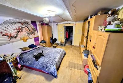 Apartament cu 1 cameră, zona Bălcescu, spațios, cu grădină - 1