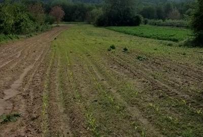 Spațiu comercial, în Voroveni - 4