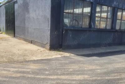 Spațiu comercial, de 558 mp, în Buzaului - 2