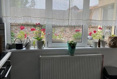 Casă cu 3 camere cu Teren 280 Mp în Central - 10