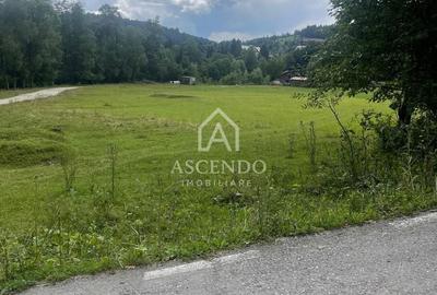 Teren de 4500 mp, în Dâmbovicioara - 20